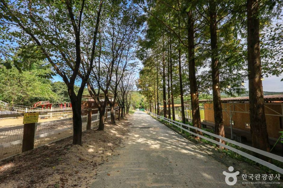 경기_여주_은아목장 (6)