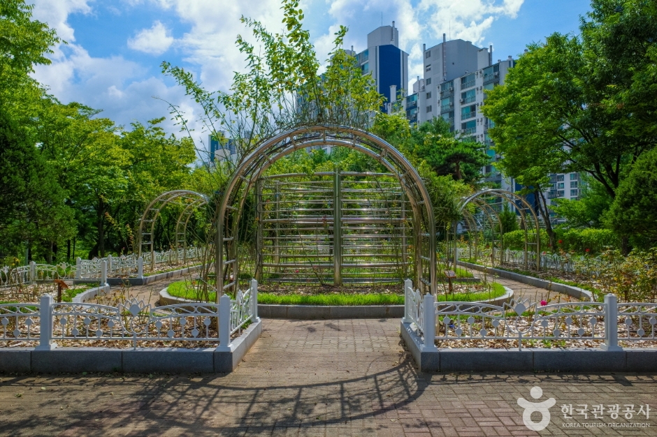 은행근린공원 (8)