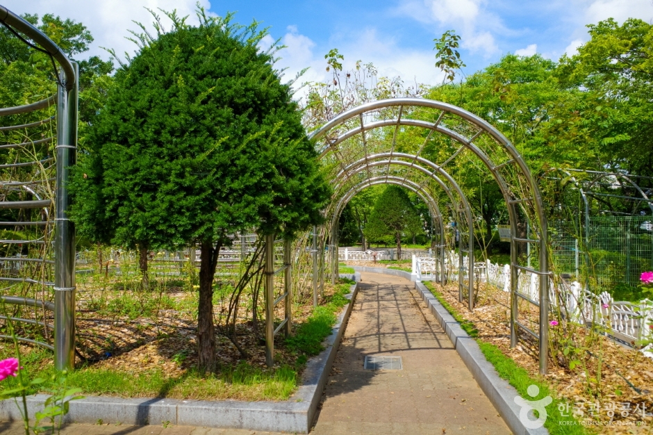 은행근린공원 (12)