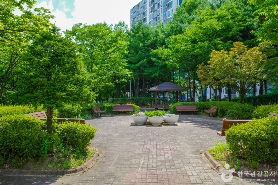 은행근린공원 (13)