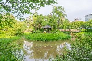 밤밭청개구리공원