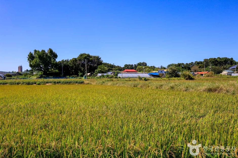 경기_이천_이천 도니울 명품쌀마을 (3)