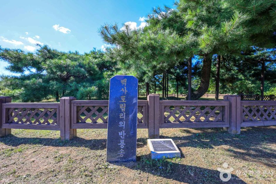 경기_이천_이천 도립리 반룡송 (6)