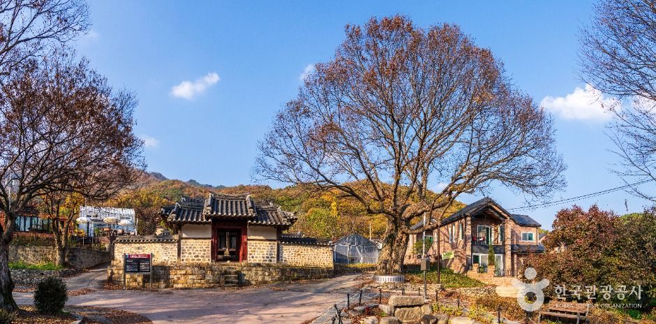 이천 산수유마을