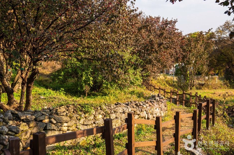 이천 산수유마을