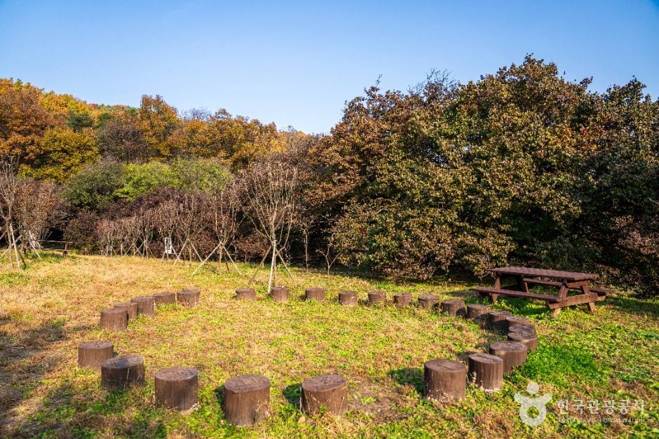 이천 산수유마을