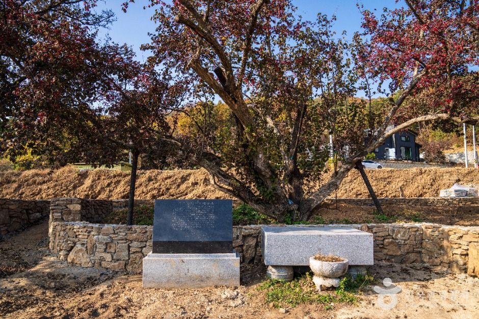 이천 산수유마을