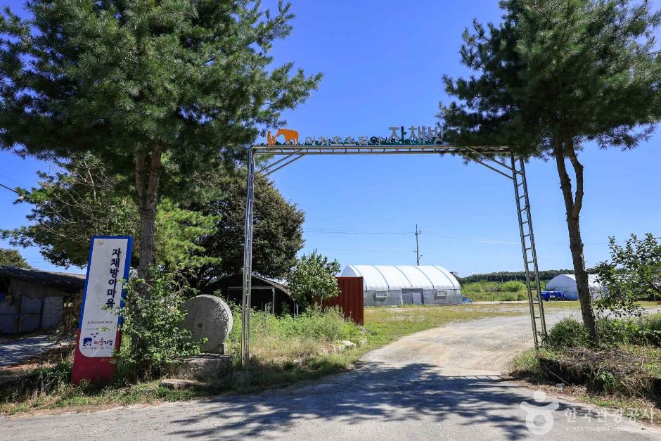 경기_이천_이천 자채방아마을 (6)