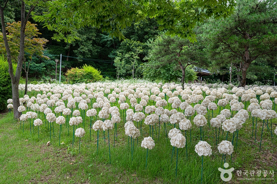 이충분수공원 (5)