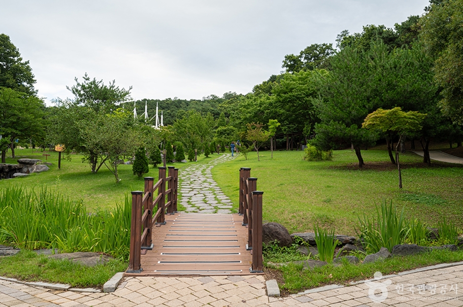 이충분수공원 (10)