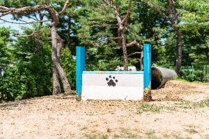 일산호수공원 반려견놀이터