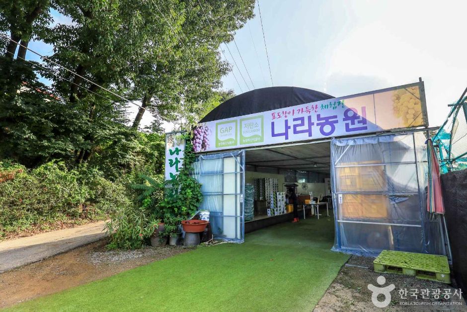 경기_안성_인처골마을 (4)