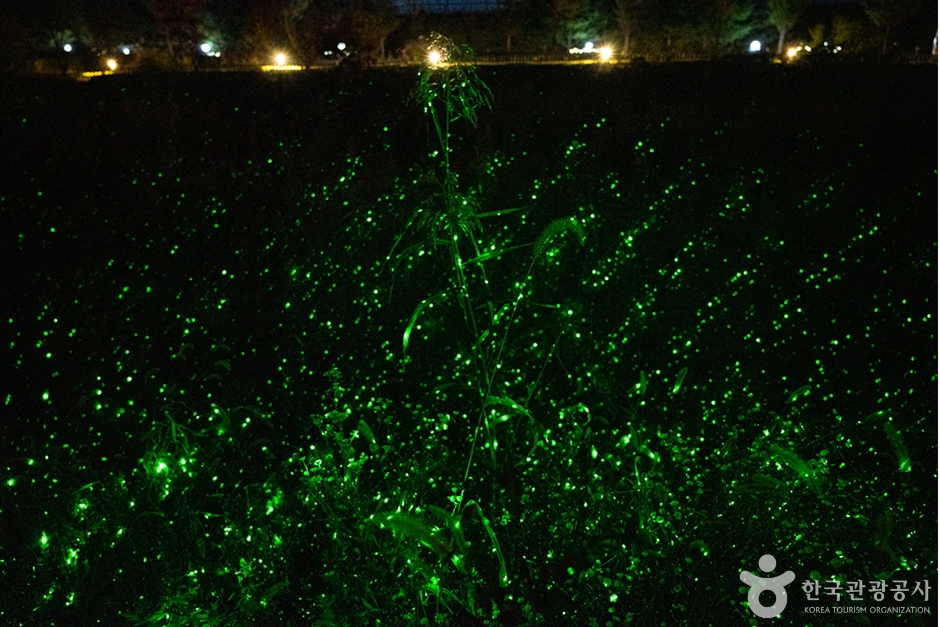 N00730_경기_파주_임진각수풀누리_e (15)