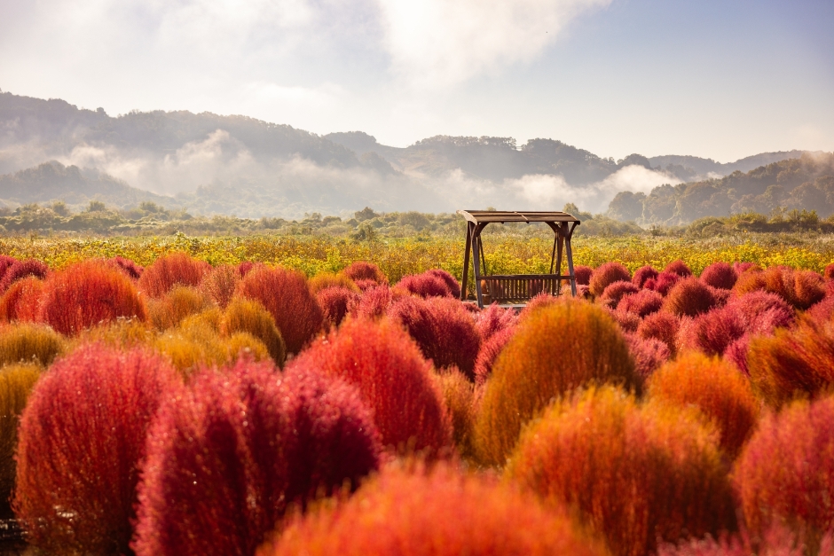 [아시아중동]임진강 댑싸리공원5(가을전경)_일반_1유형
