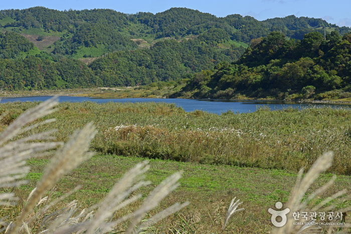 생태관광기사형DB_경기_연천_생명을 품은 땅, 연천에서 보낸 행복한 가을날28