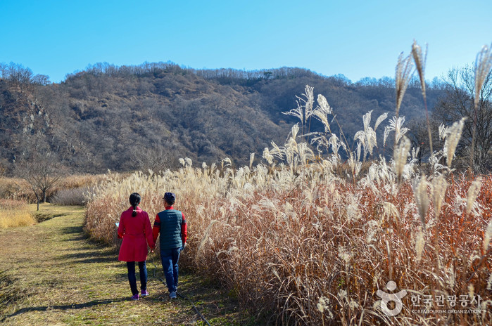 경계의 삶과 자연을 만나다_경기 연천_무장애(1)