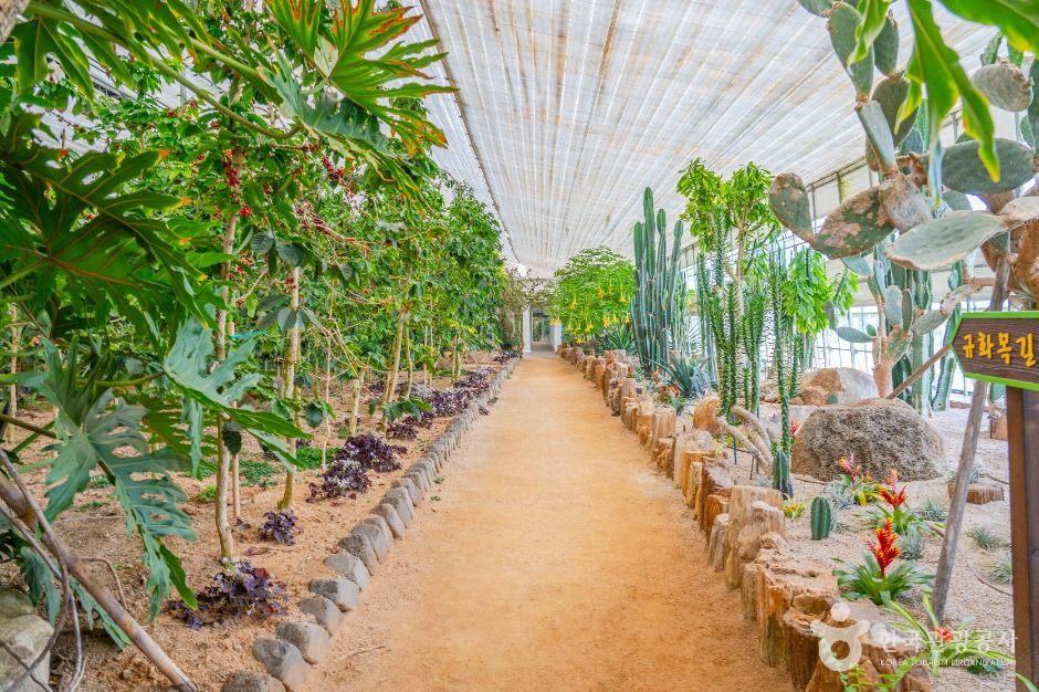 가평_자라섬 이화원 (5)