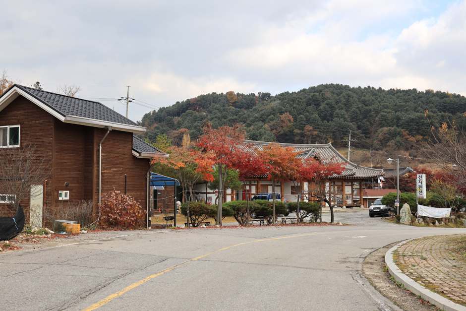 경기도_가평군_잣향기푸른마을 (5)