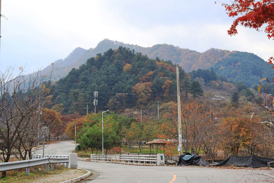 경기도_가평군_잣향기푸른마을 (6)