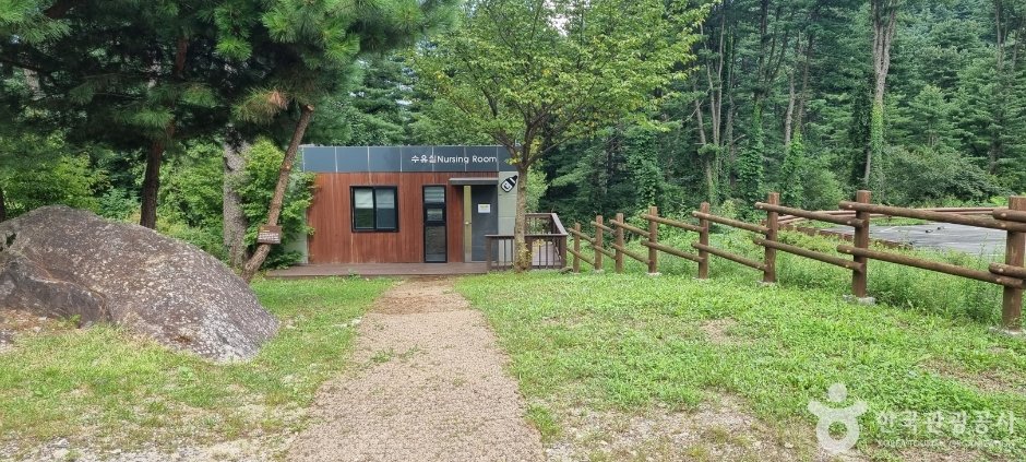 잣향기푸른숲_1