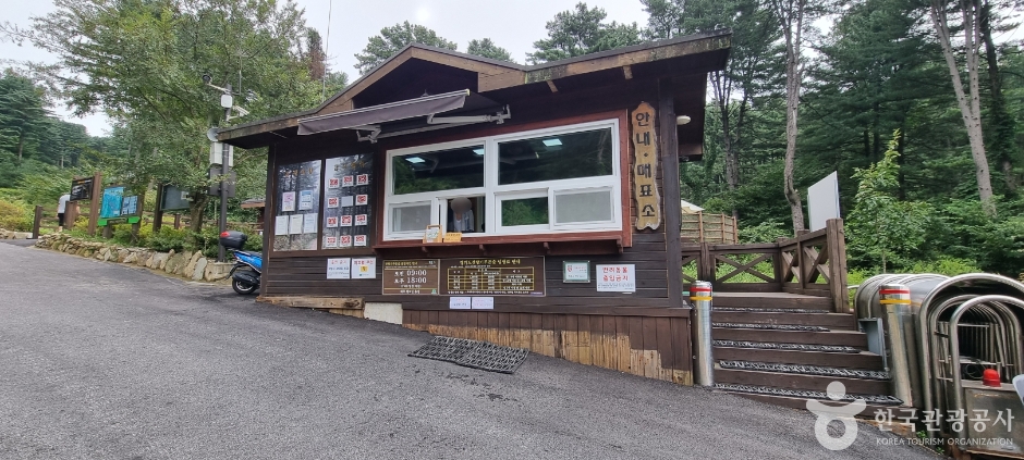 잣향기푸른숲_3