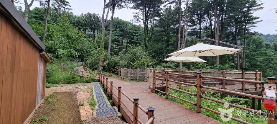 잣향기푸른숲_5