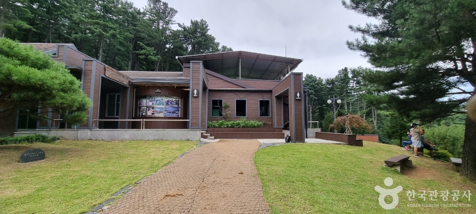 잣향기푸른숲_10