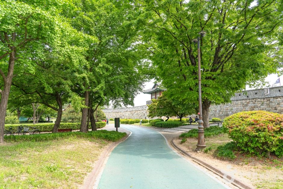 수원_장안공원 (3)