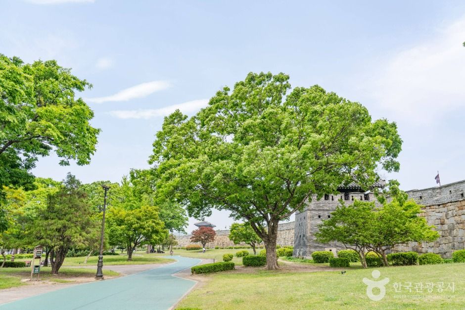 수원_장안공원 (4)