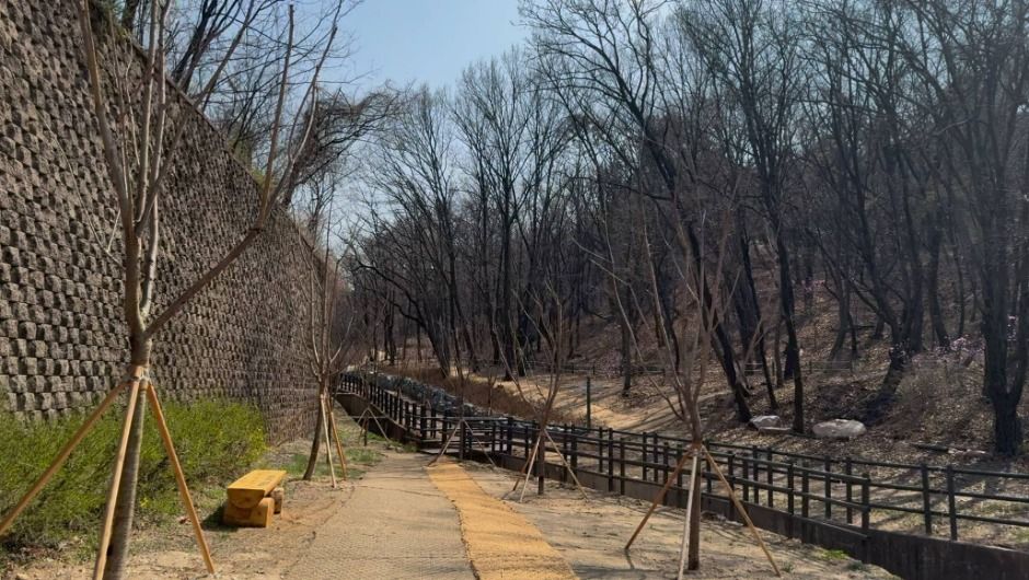 장암숲늘풀길 (3)