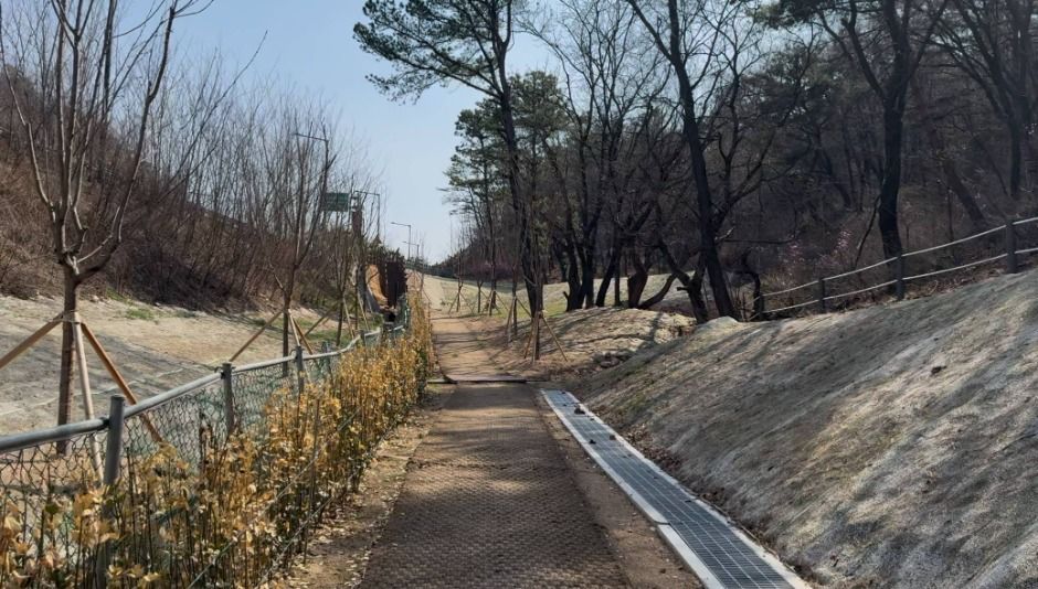 장암숲늘풀길 (4)