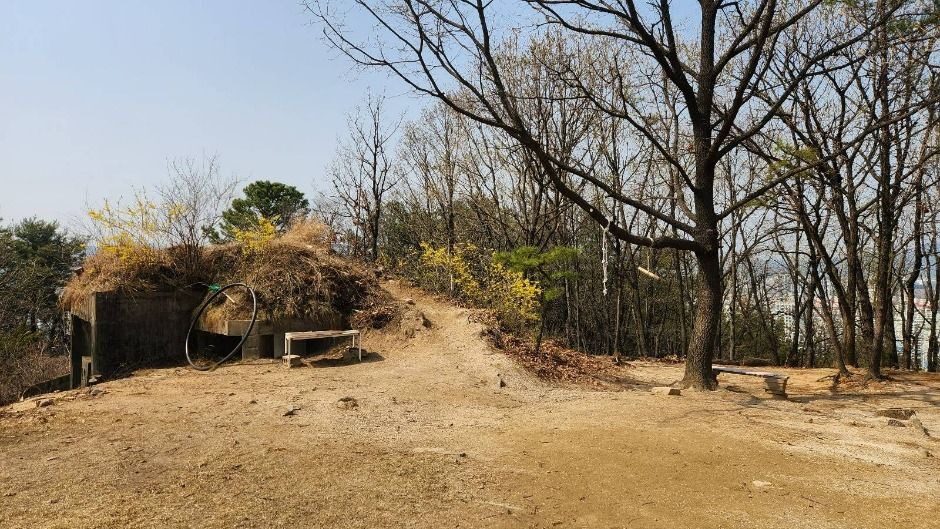 장암숲늘풀길 (5)