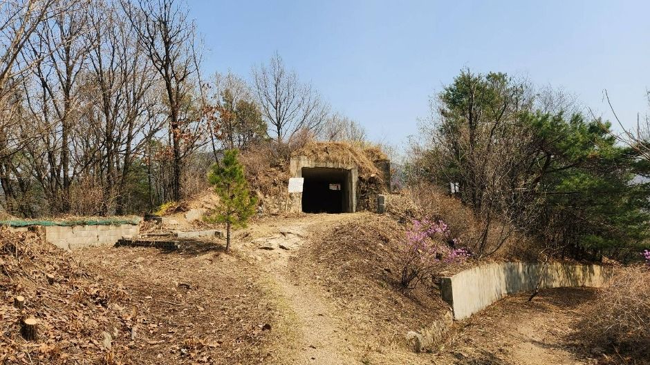 장암숲늘풀길 (6)