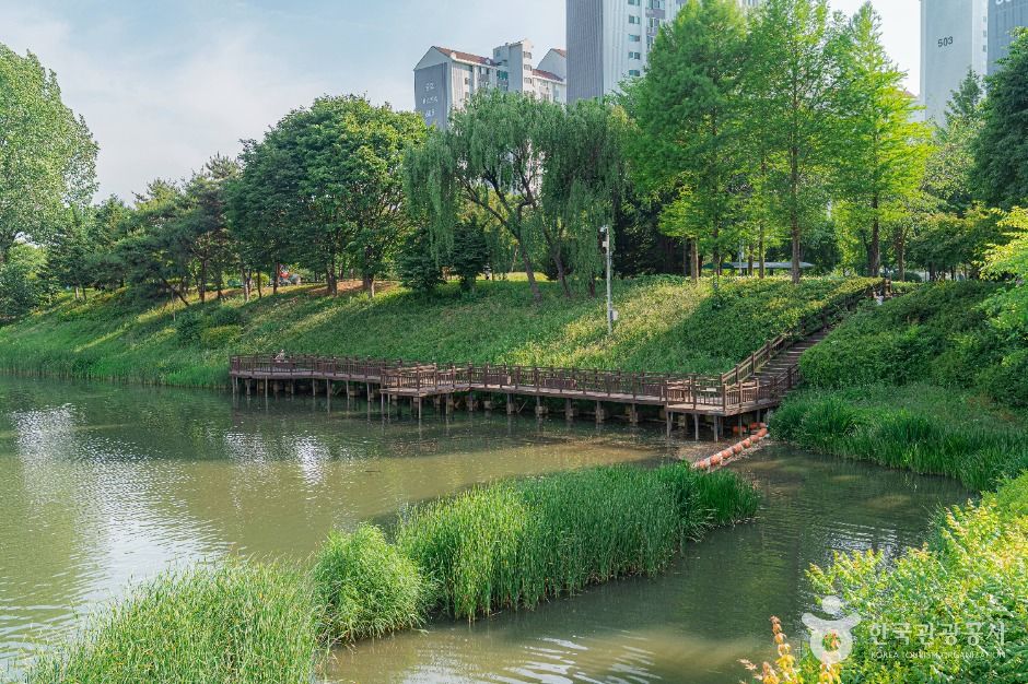 구리_장자호수공원 (8)