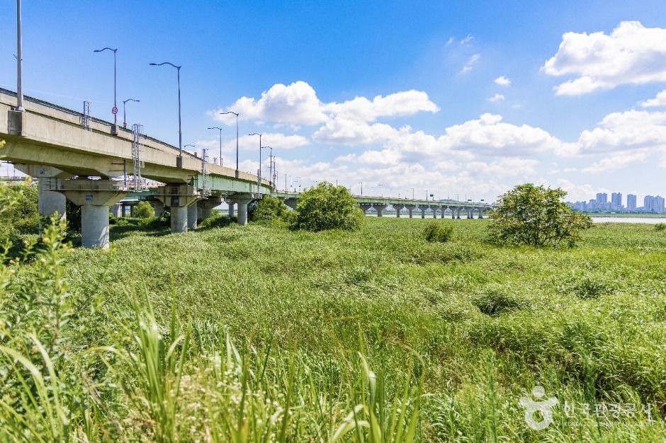 고양_장항습지 (4)