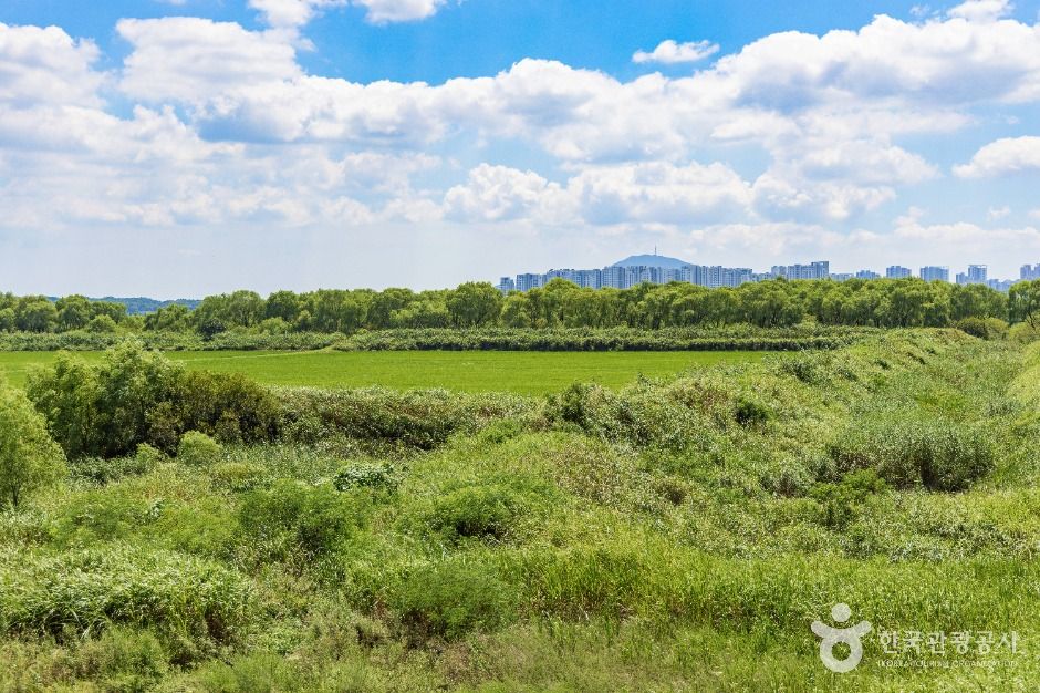 고양_장항습지 (2)