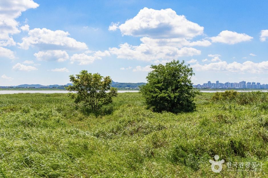고양_장항습지 (3)