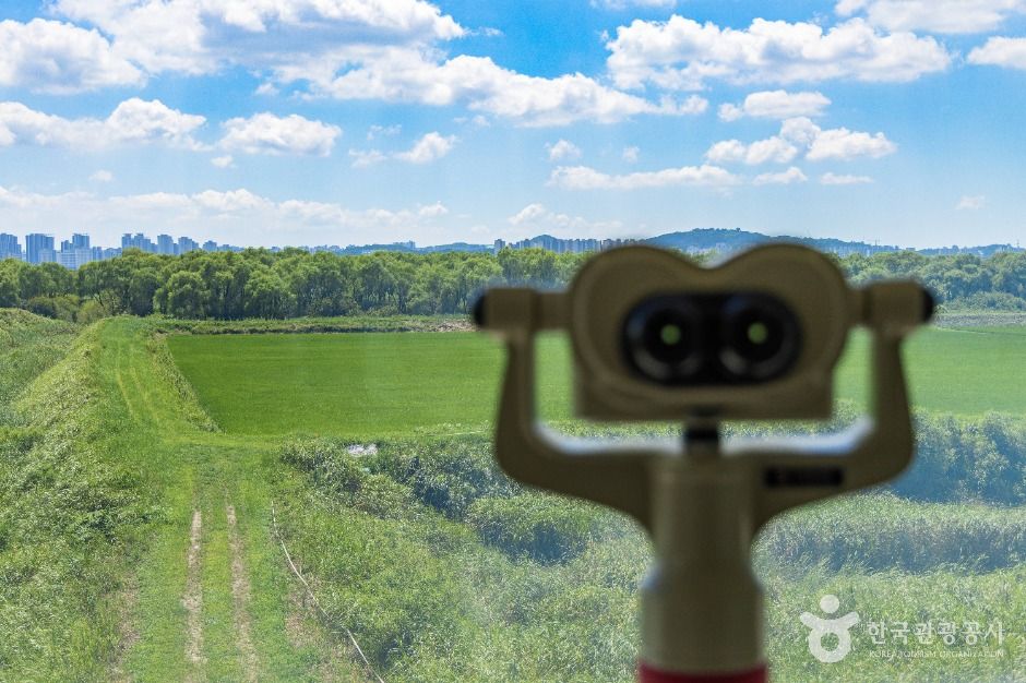 고양_장항습지 (8)