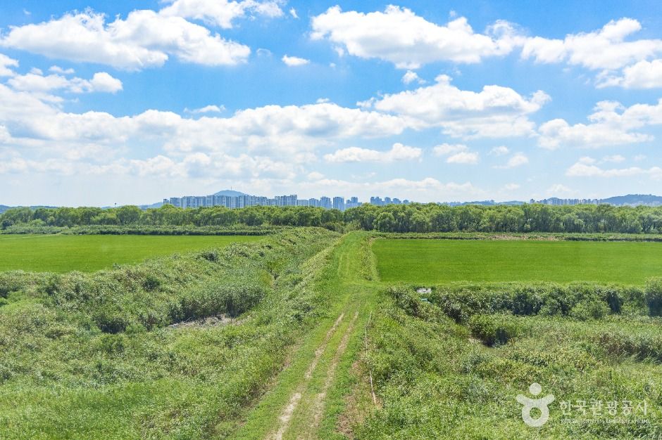 고양_장항습지 (5)