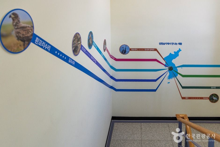 고양_장항습지 (7)