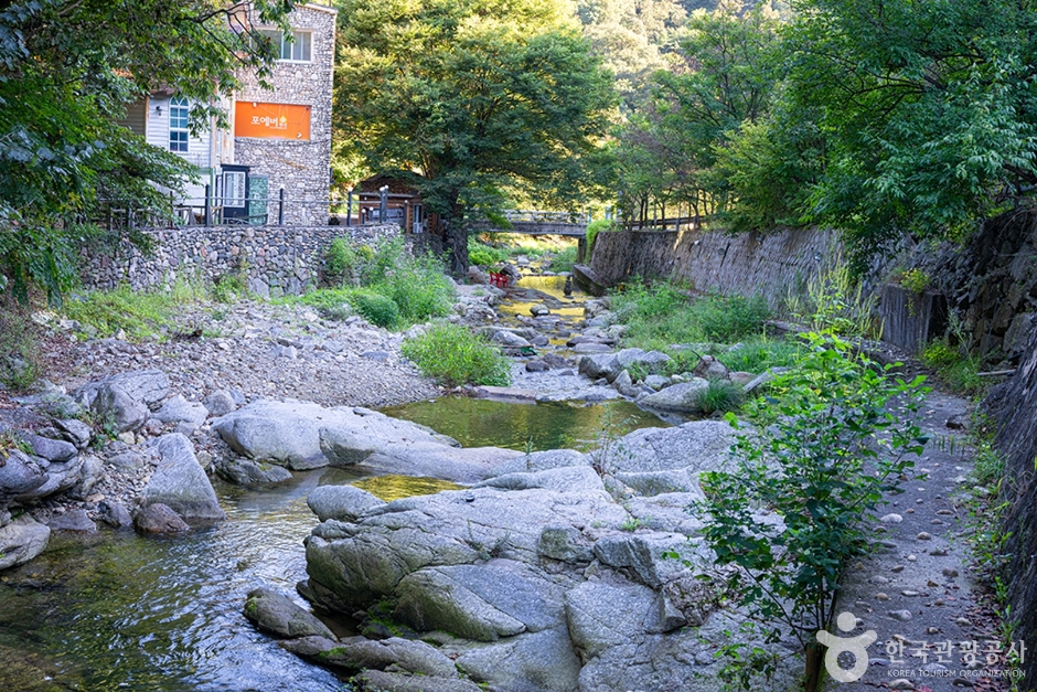 A01049_경기_양주_장흥관광지_e (15)