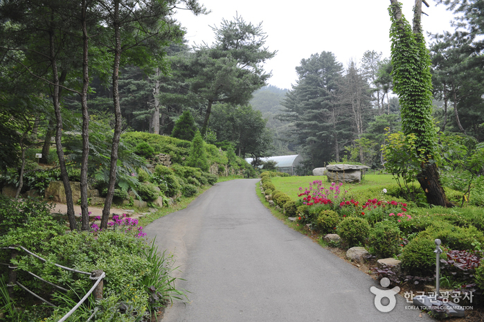 장흥자생수목원