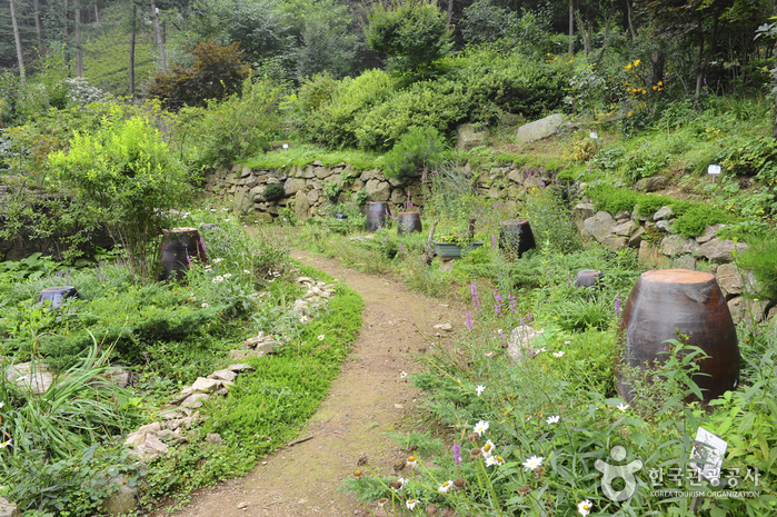 장흥자생수목원