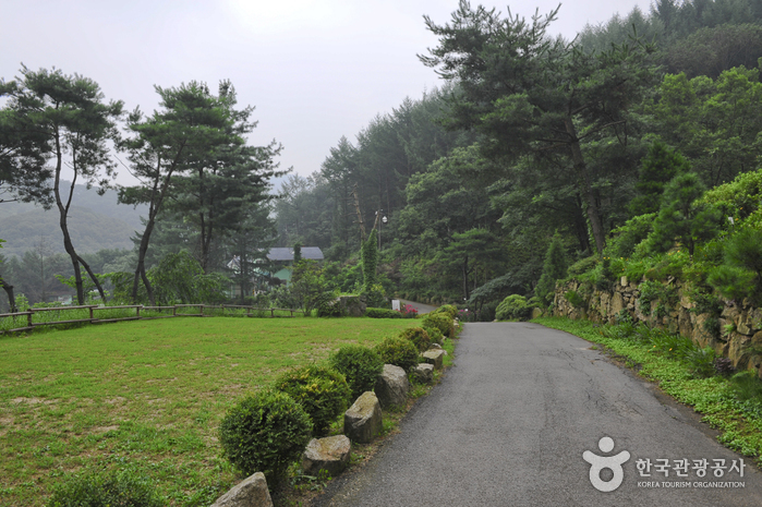 장흥자생수목원