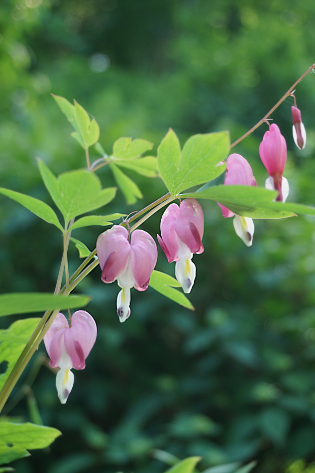 경기_양주_별빛 쏟아지는 천문 테마파크, 양주 송암스페이스센터_14