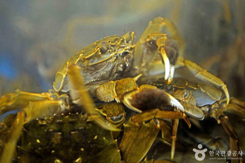 김포_전류리포구 (4)