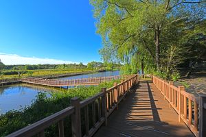 하동천 생태탐방로