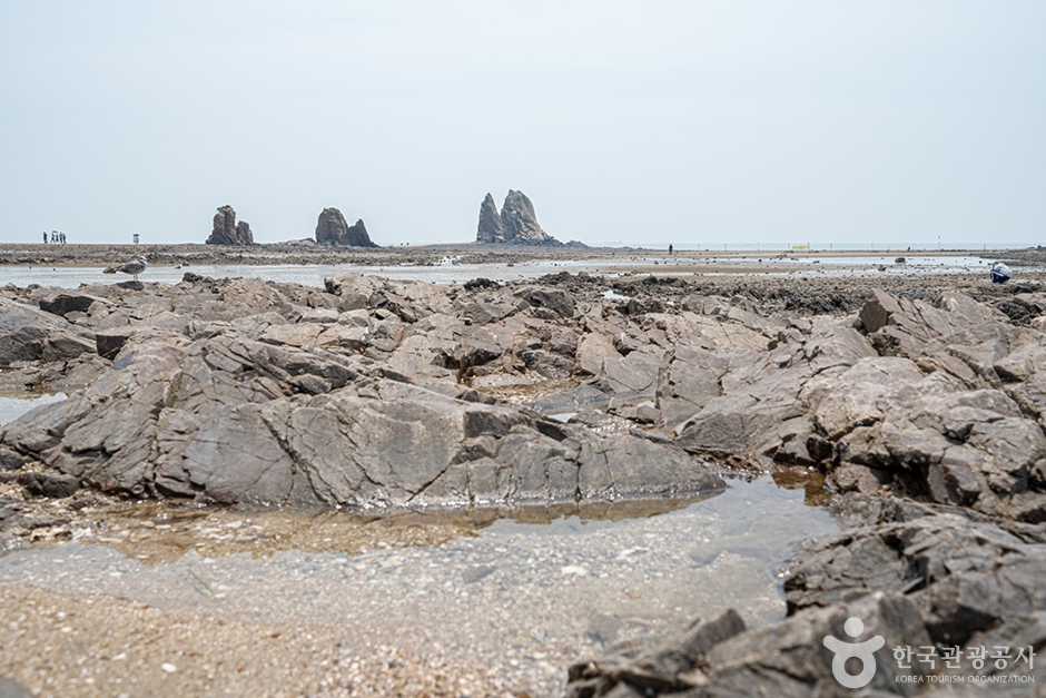제부도 매바위 (4)