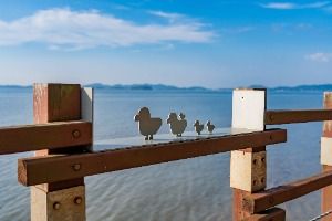 제부도 해안산책로(제비꼬리길)