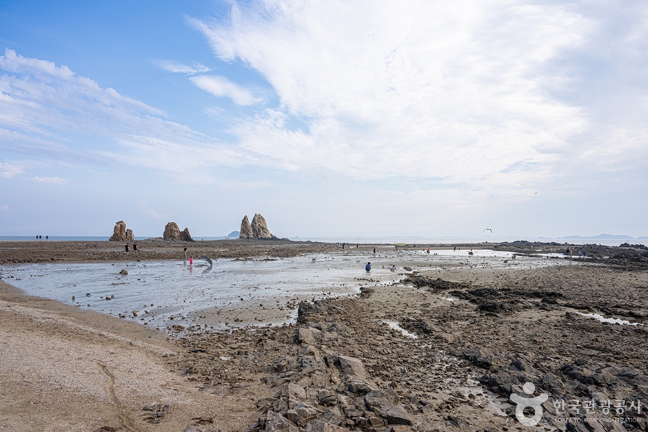 제부리어촌체험휴양마을 (9)